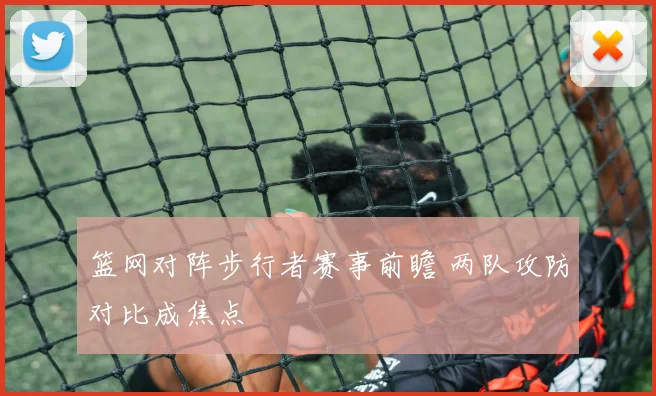 篮网对阵步行者赛事前瞻 两队攻防对比成焦点